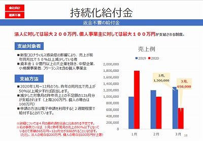 コロナ経済対策13.5持続化給付金.jpg