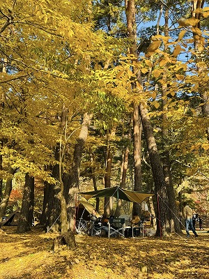 本栖湖キャンプ (1).jpg