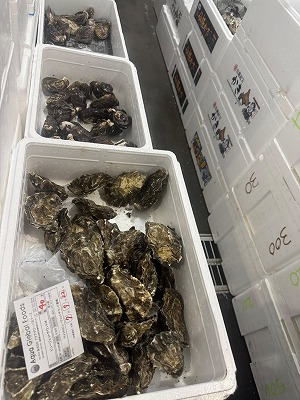 豊洲市場後半 (5).jpg