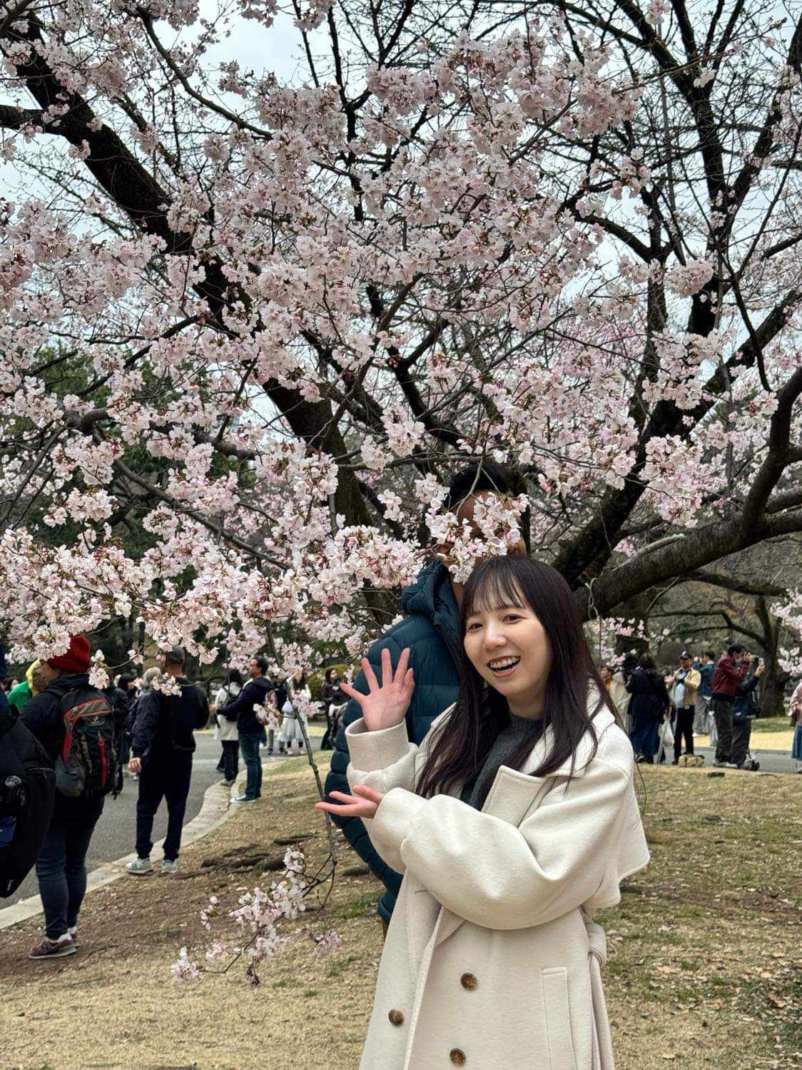 202403_shinjyuku_hanami (2).jpg