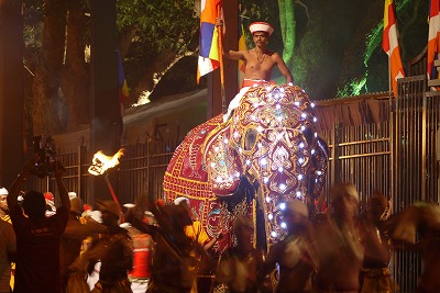 スリランカ　海外　保険　ペラヘラ祭り