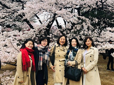 お花見2019 (6).jpg