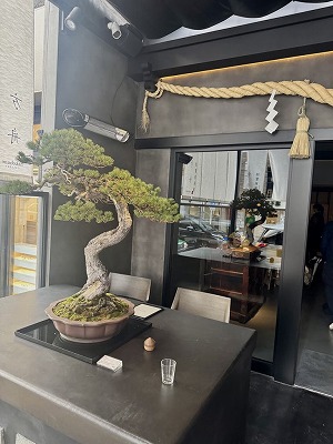 松葉屋茶寮 (2).jpg