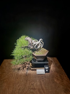 松葉屋茶寮 (5).jpg
