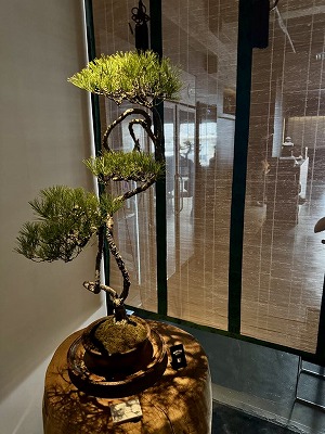 松葉屋茶寮 (7).jpg