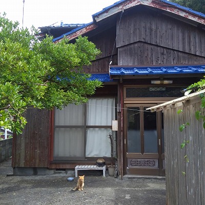 行き当たりバッチリ旅高知 (6).jpg