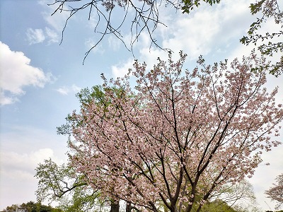 IMG20250410132409.jpg