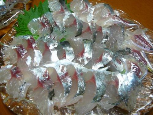 アジ 釣り 釣り船 羽田 保険 保険代理店 キキ・コンサルティング