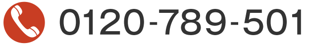 0120-789-501